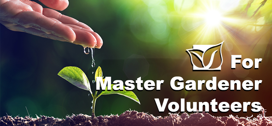 For Master Gardener Volunteers