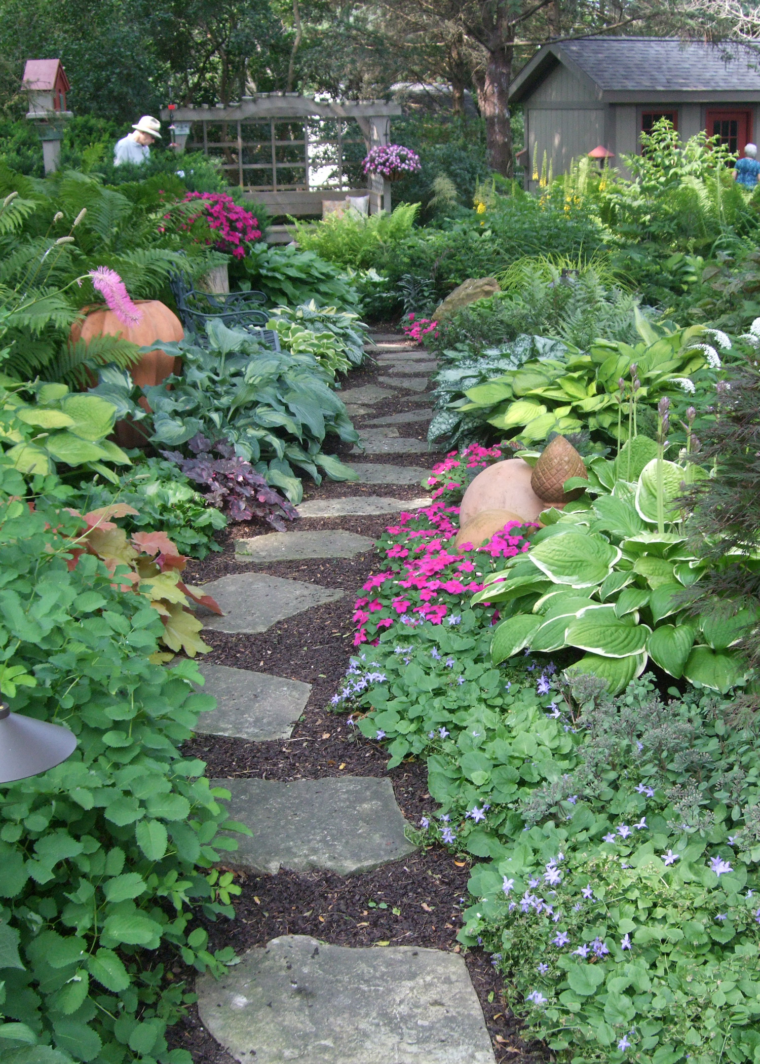 Garden path with green plants