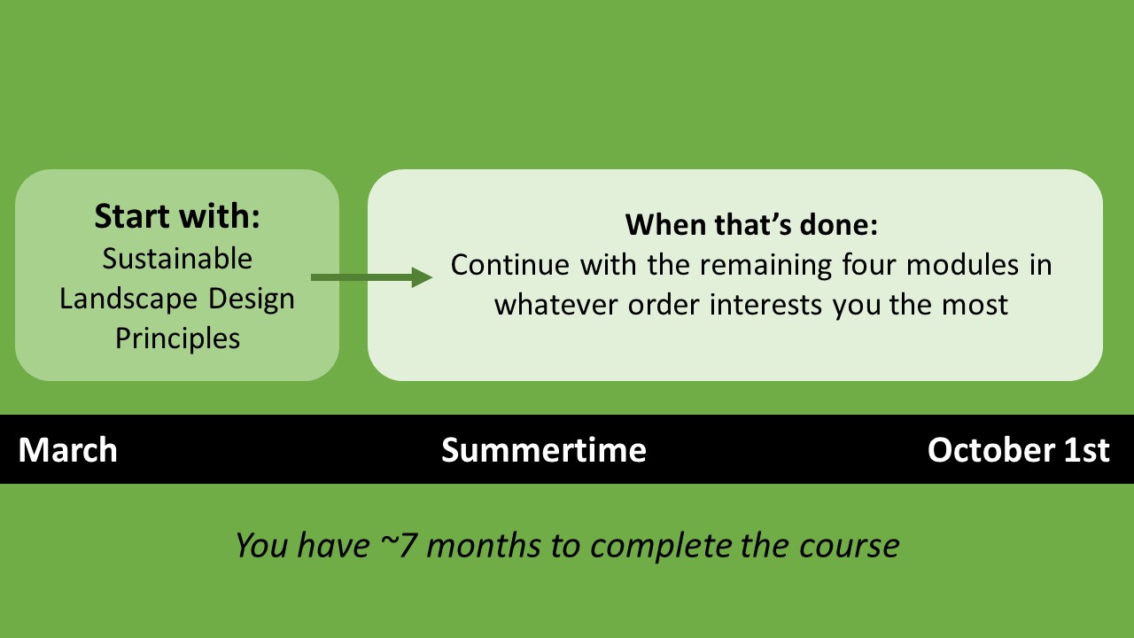 Timeline for completing coursework