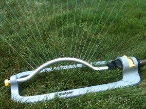 image water sprinkler on lawn