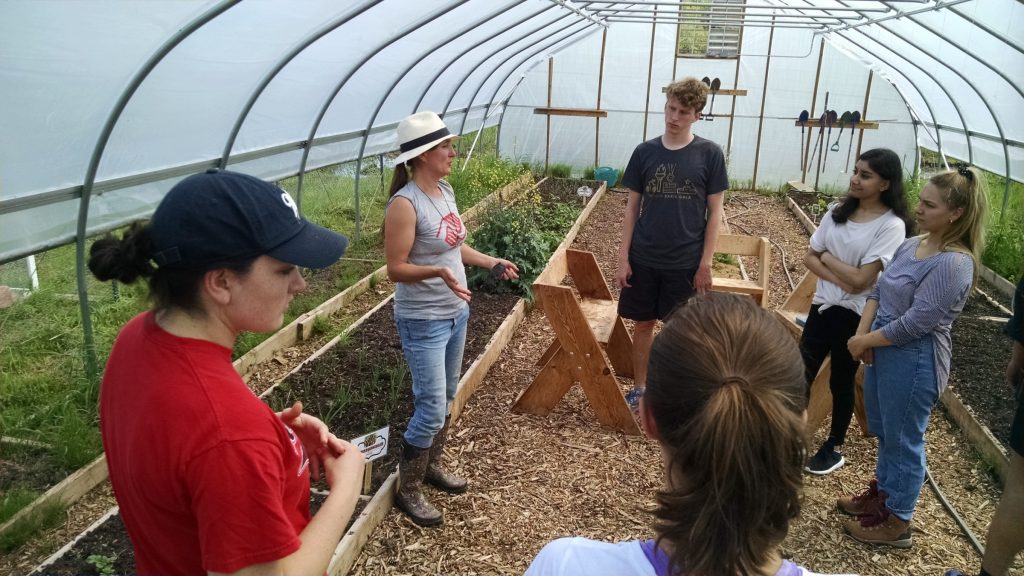 Tribal Food Sovereignty Native Nations Team Native American Task Force tribal-food-sovereignty-native-nations-team-native-american-task-force