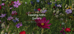 image of newsletter title banner with background of summer flowers